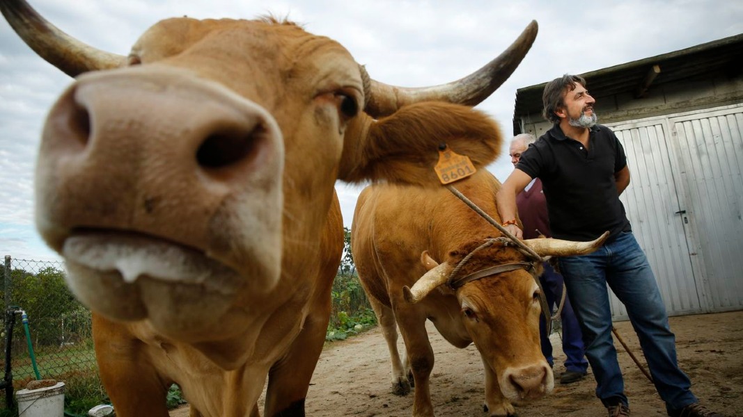 Coworking para regar el campo de ideas